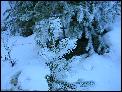 DSCN0179.JPG