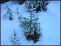 DSCN0180.JPG