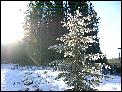 DSCN0181.JPG