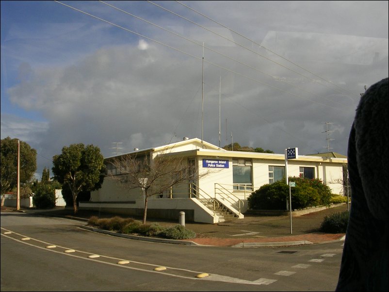 DSCN1031.JPG