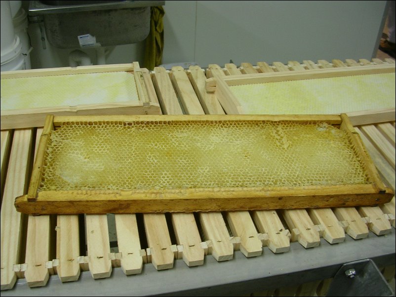 DSCN1037.JPG