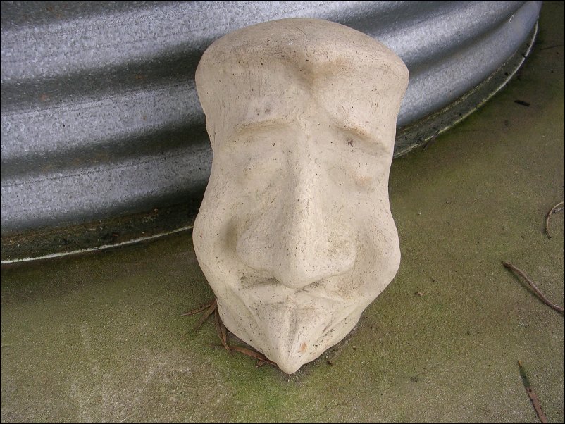 DSCN1040.JPG