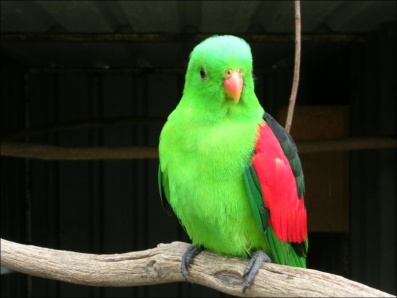 DSCN1047.JPG