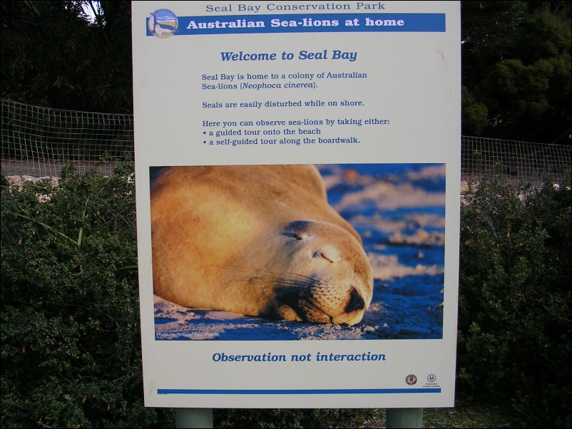 DSCN1060.JPG