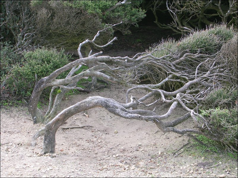 DSCN1088.JPG