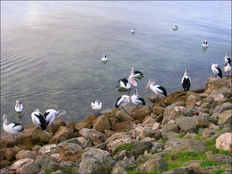 DSCN1093.JPG