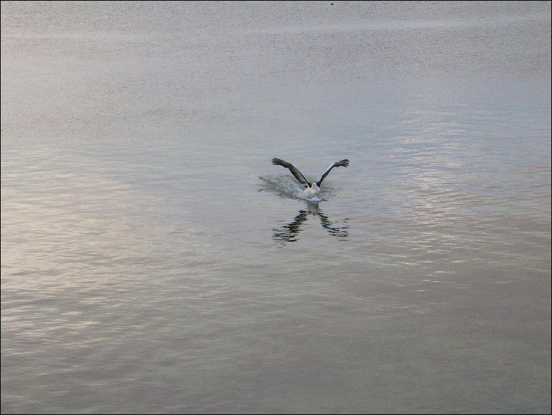 DSCN1096.JPG