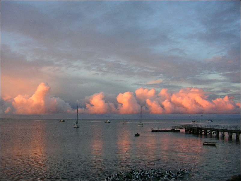 DSCN1113.JPG