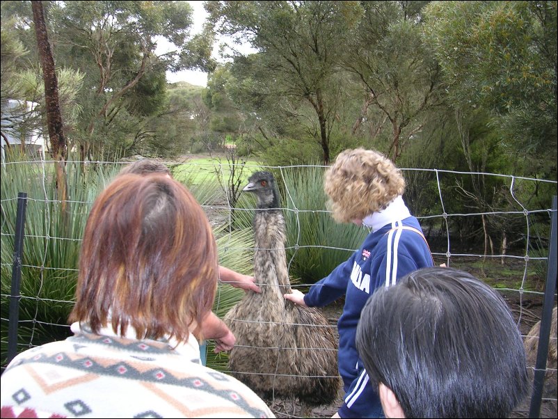 DSCN1121.JPG