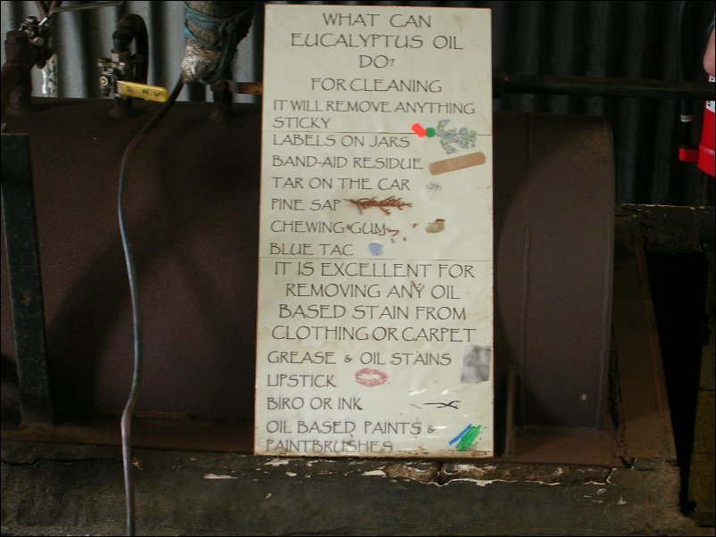 DSCN1136.JPG