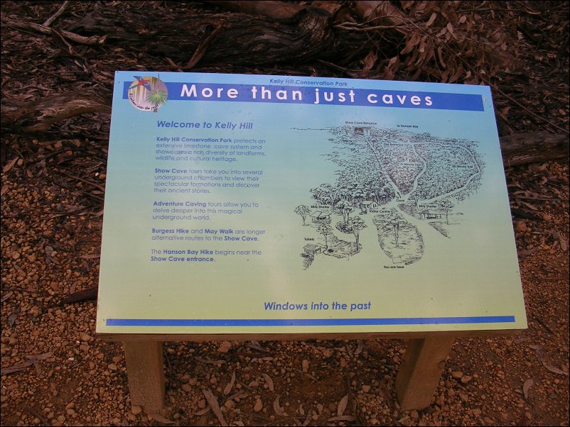 DSCN1147.JPG