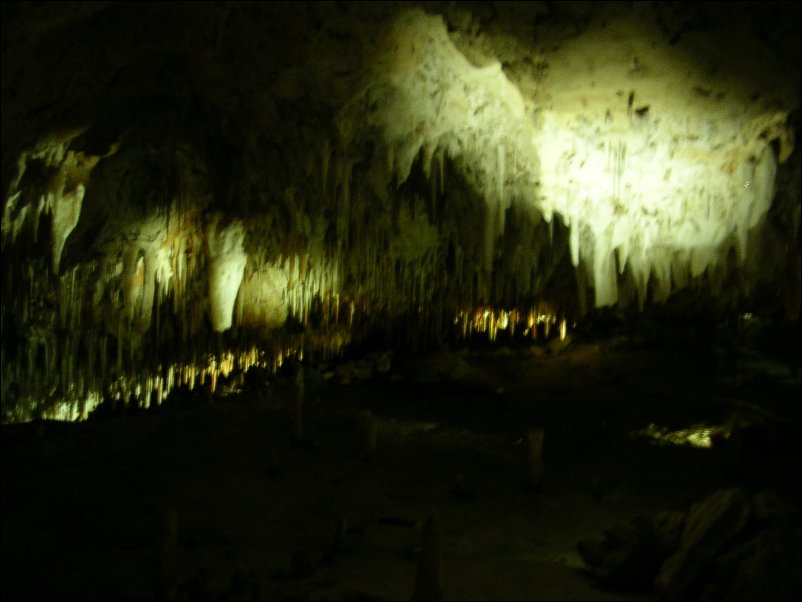 DSCN1151.JPG