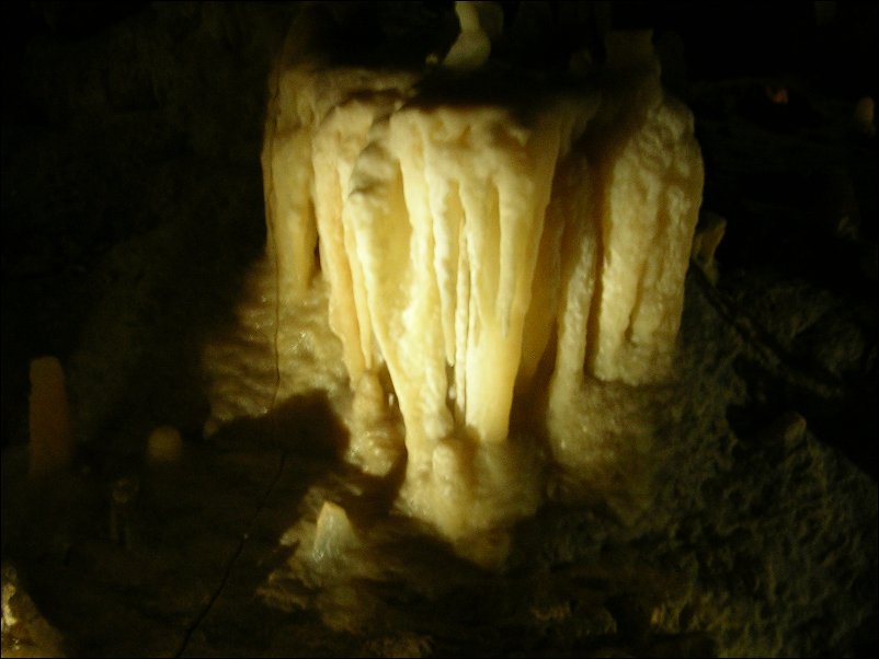 DSCN1155.JPG