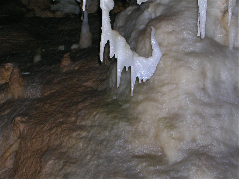 DSCN1162.JPG