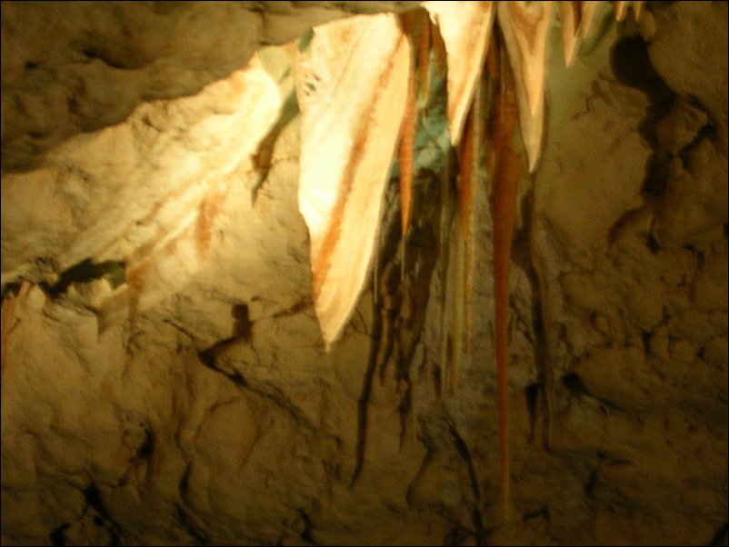 DSCN1166.JPG