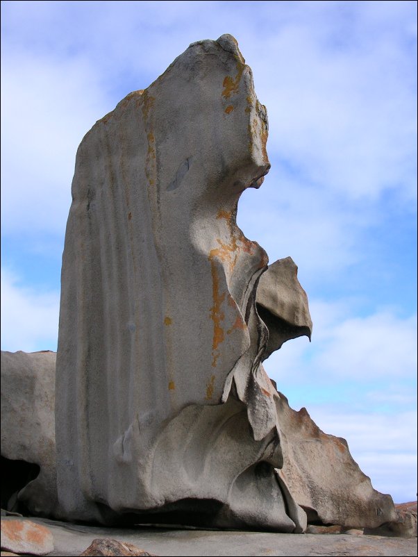 DSCN1204.JPG