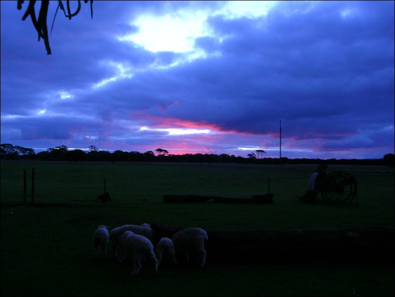 DSCN1256.JPG
