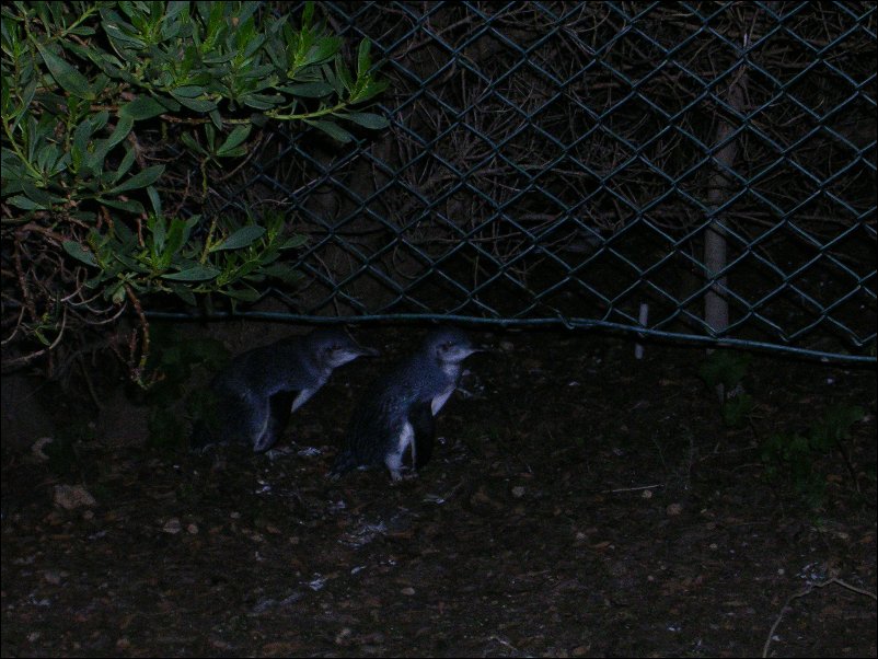 DSCN1259.JPG