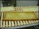 DSCN1037.JPG
