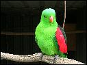 DSCN1047.JPG