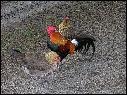 DSCN1052.JPG