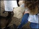 DSCN1055.MOV