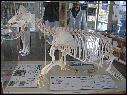 DSCN1061.JPG