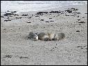 DSCN1072.JPG