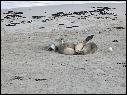 DSCN1073.JPG