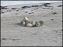 DSCN1074.MOV