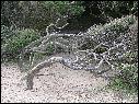 DSCN1088.JPG
