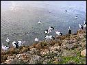 DSCN1093.JPG