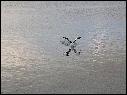 DSCN1096.JPG