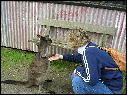 DSCN1141.JPG