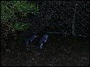 DSCN1259.JPG