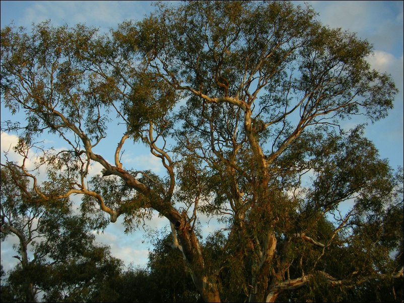 DSCN1292.JPG