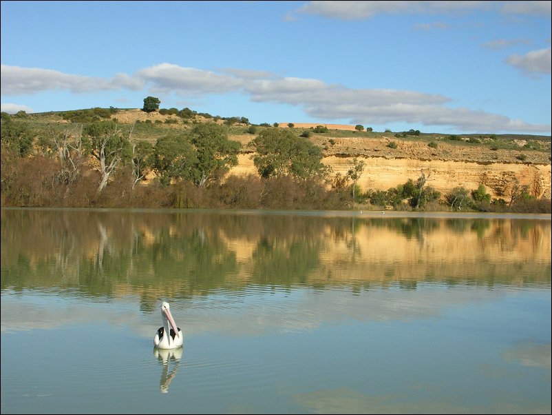 DSCN1335.JPG