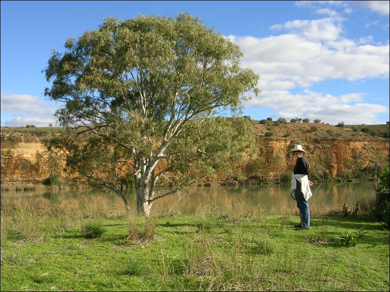 DSCN1338.JPG