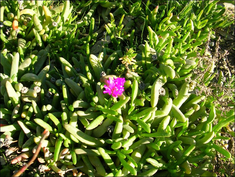 DSCN1377.JPG