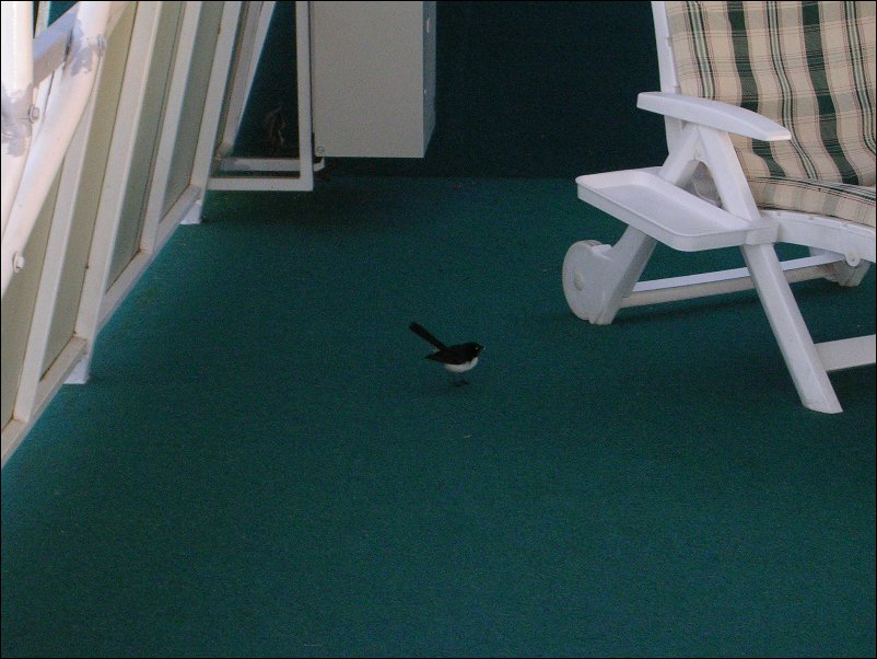 DSCN1415.JPG