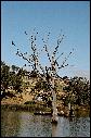 94880016.jpg