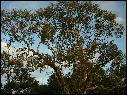 DSCN1292.JPG
