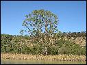 DSCN1321.JPG