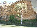DSCN1327.JPG