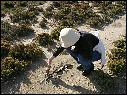 DSCN1337.JPG