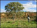 DSCN1338.JPG
