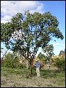 DSCN1341.JPG