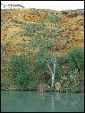 DSCN1354.JPG