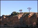 DSCN1366.JPG