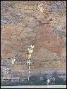 DSCN1373.JPG